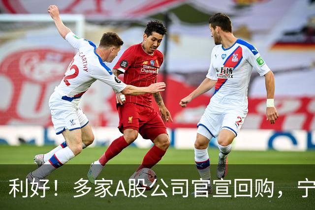 利好！多家A股公司官宣回购，宁德时代单日买入8亿元
