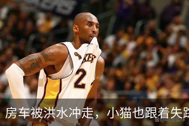 房车被洪水冲走，小猫也跟着失踪，8天后它突然回家了，全家人都哭了
